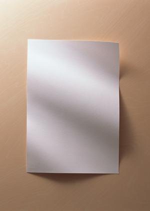 ガチャガチャの森：多彩なラインナップと親しみやすい店舗体験を提供するおもちゃの宝庫